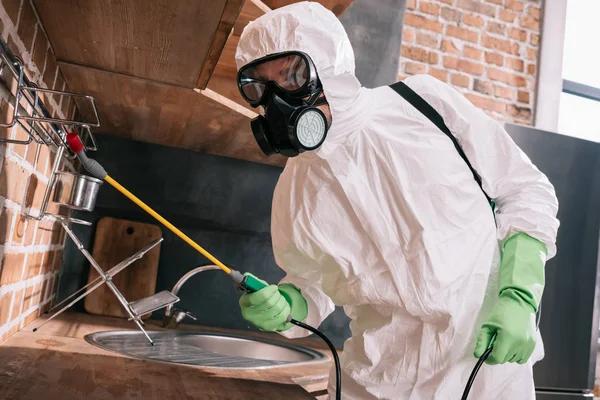 Understanding the Importance of Wasp Control in Sydney Homes